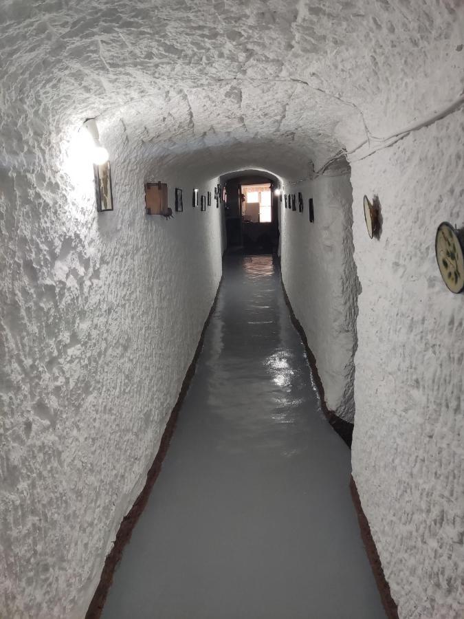 Cueva Navarro Gorafe Extérieur photo